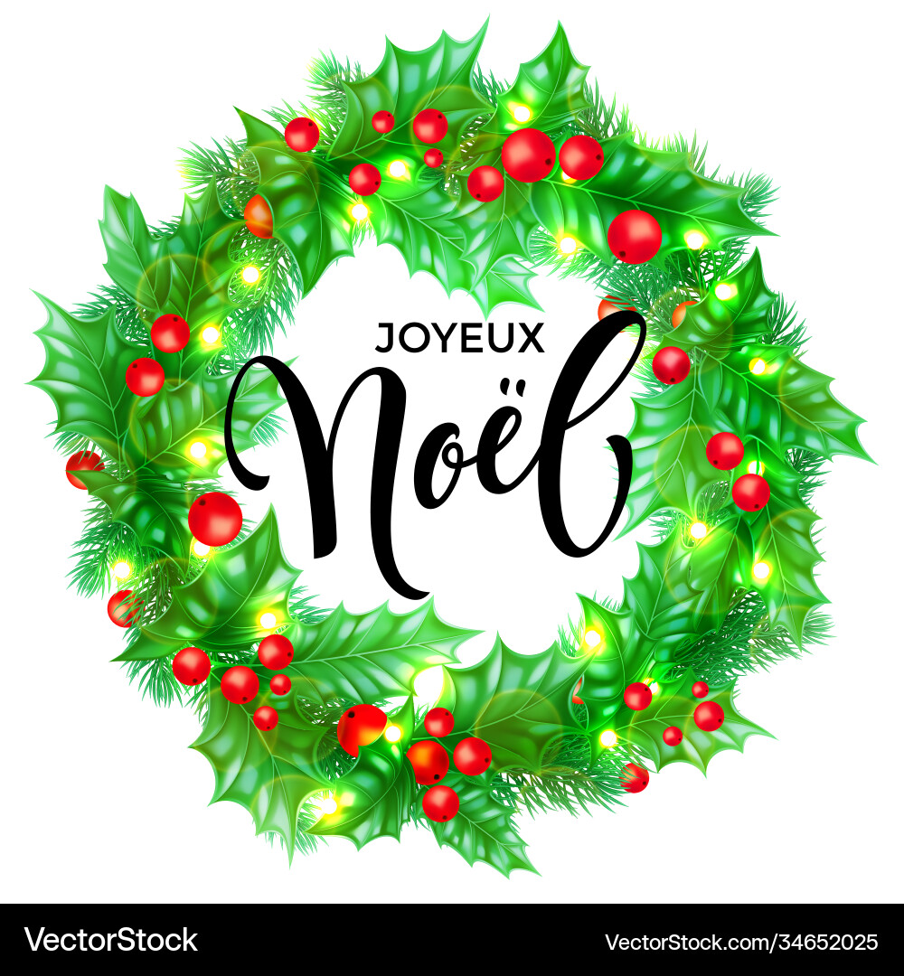 Joyeux noel french merry christmas hand drawn Joyeux noel french merry christmas hand drawn vector image
