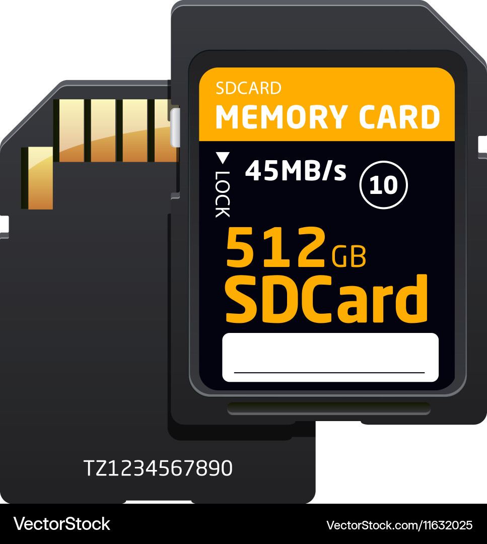 Memory sd card for various devices Vector Image