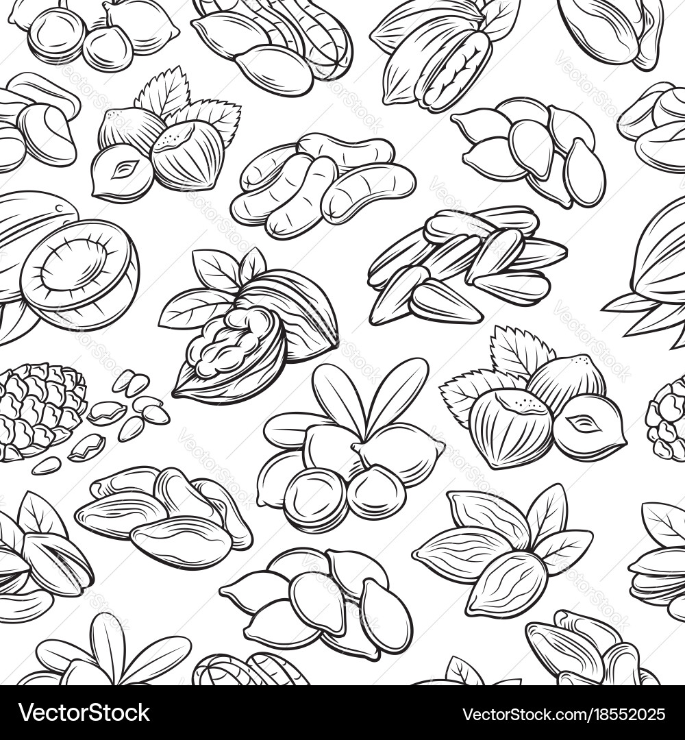 Seamless pattern with nuts and seeds vector image