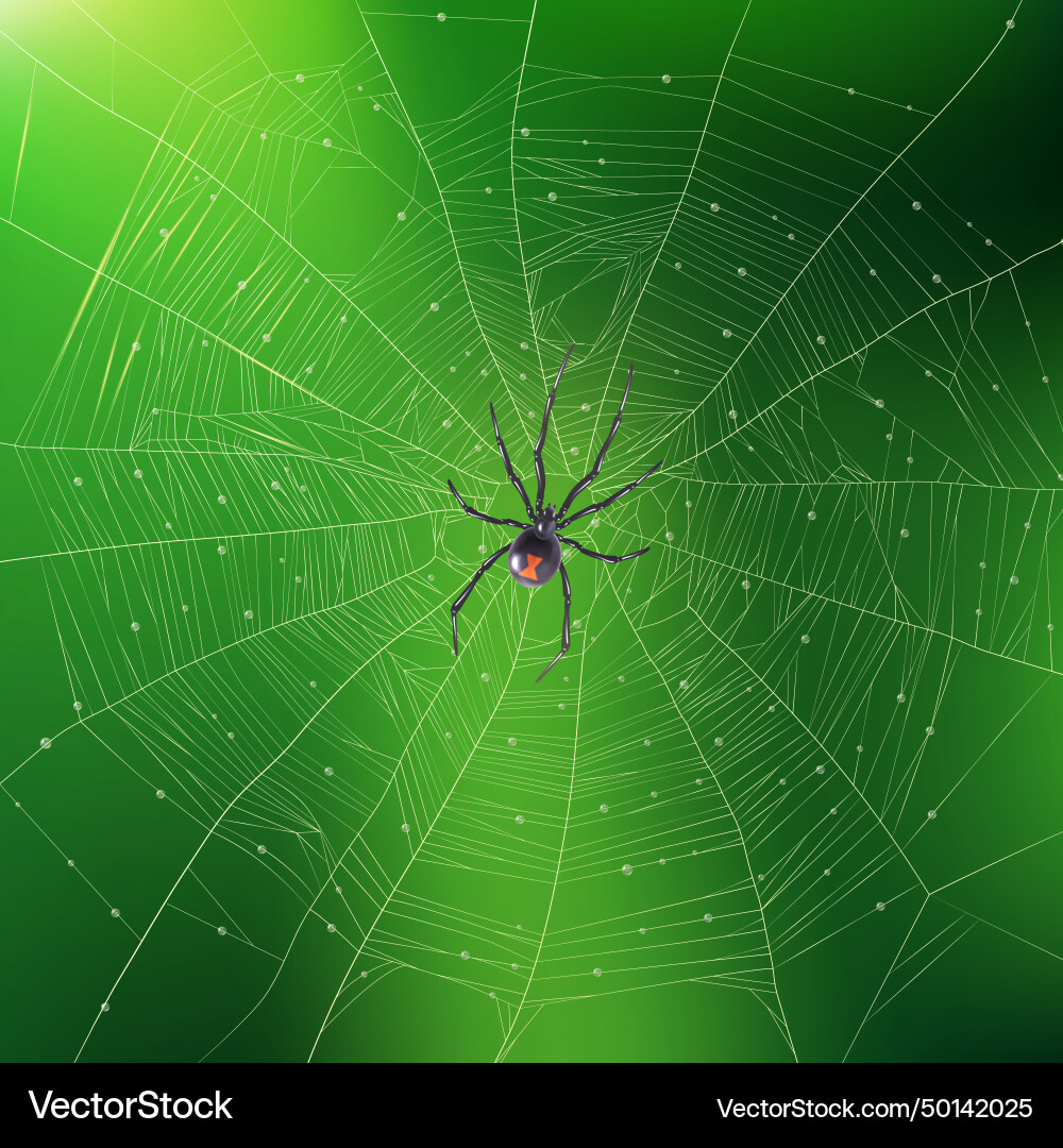 Spider weaving its web realistic background Spider weaving its web realistic background vector image