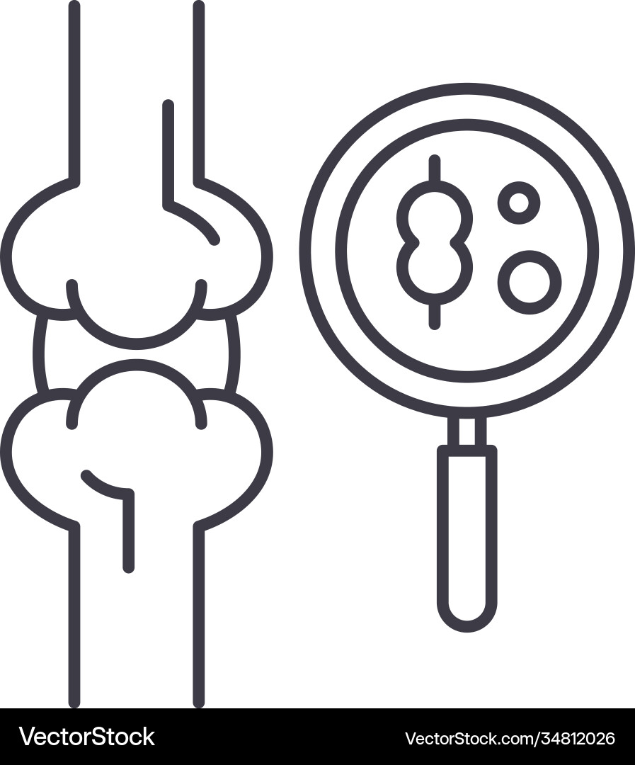 Bone densitometry test icon linear isolated Bone densitometry test icon linear isolated vector image