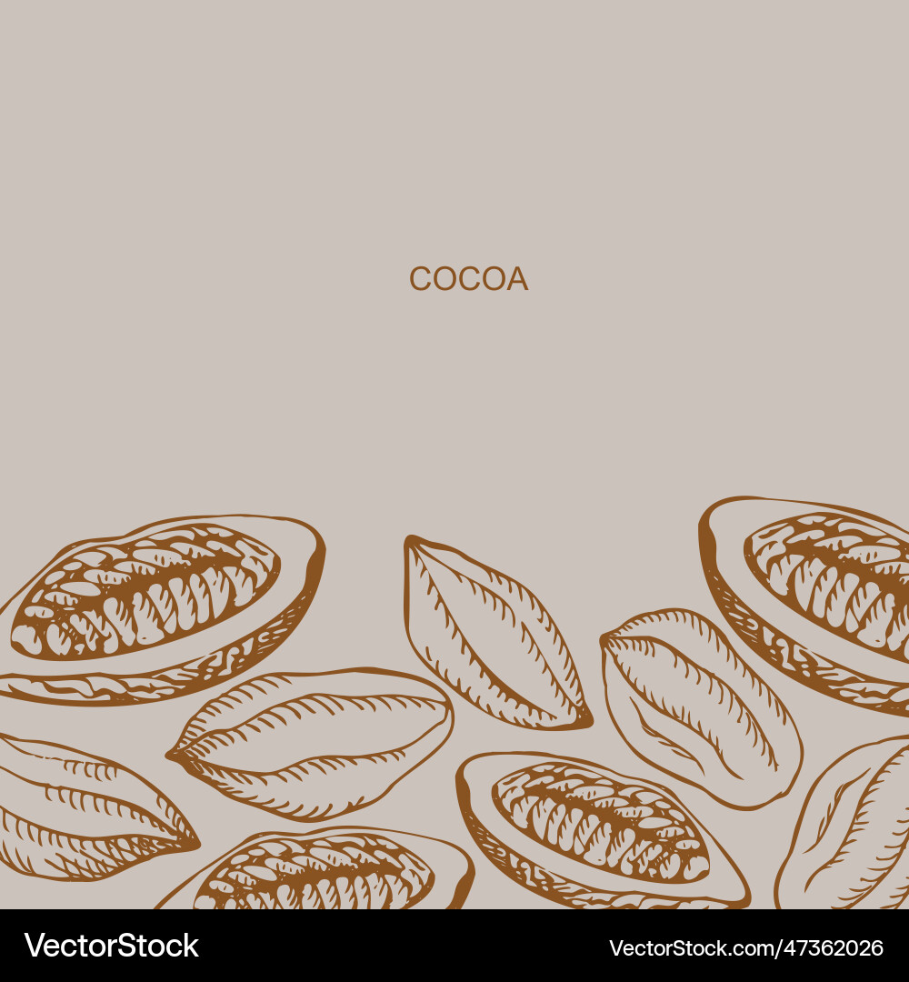 Cocoa set background template Cocoa set background template vector image