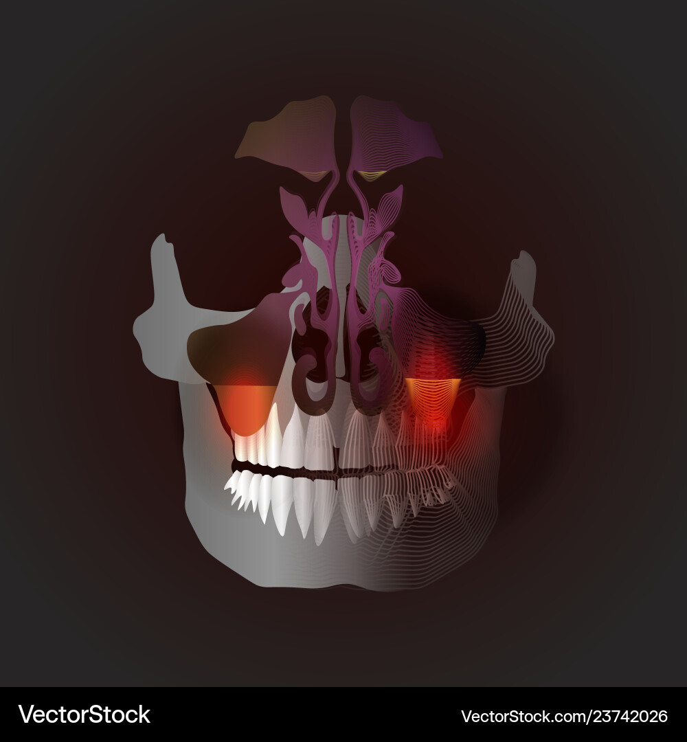 Transition from a real image to linear Transition from a real image to linear Vector Image