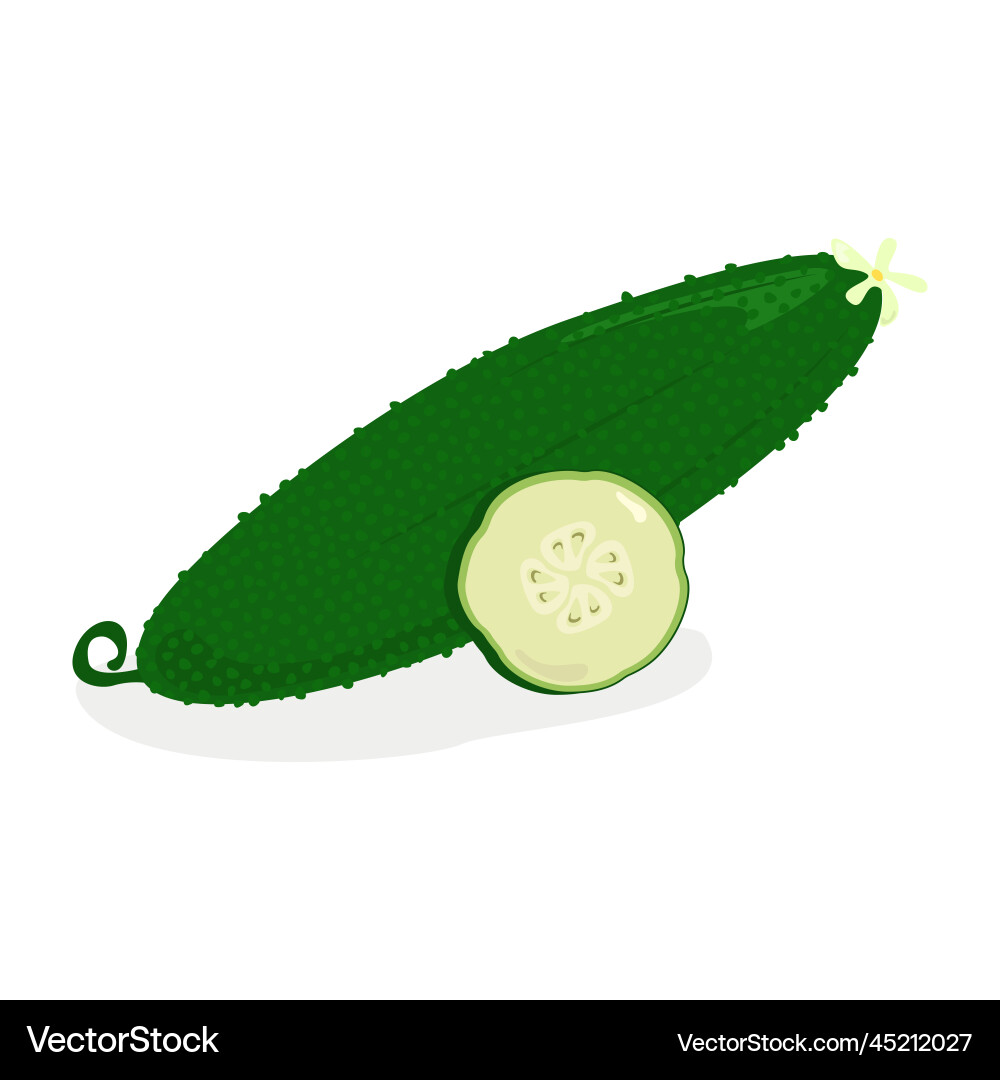 Cucumber icon design isolated Vector Image