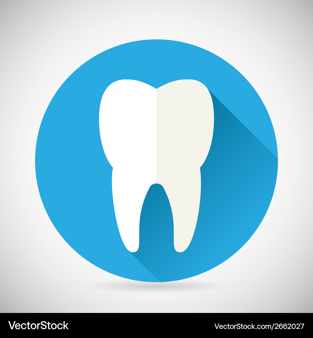 Dental Tooth Icon with Shadow Vector Image