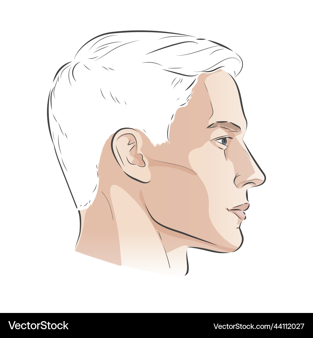 Man face portrait three different angles and turns Man face portrait three different angles and turns vector image