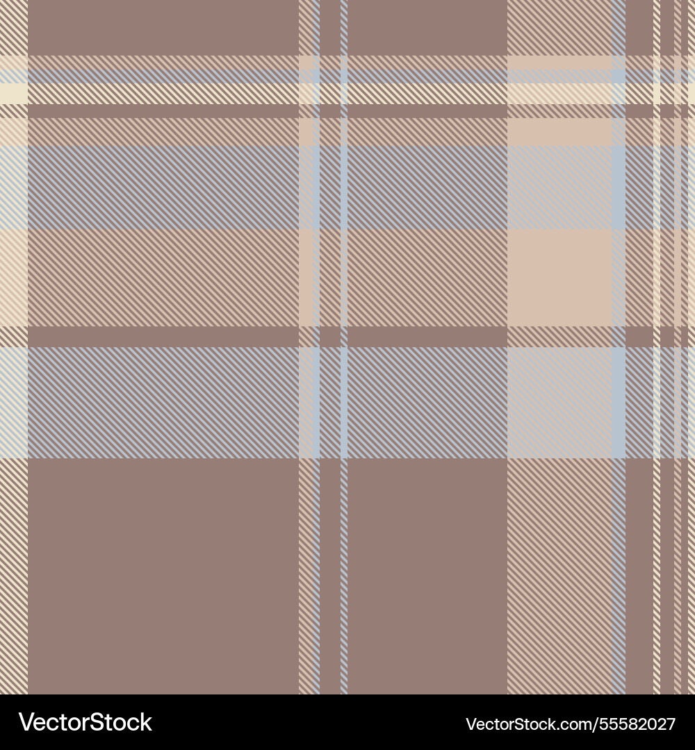 Sample check textile tartan shape texture pattern vector image
