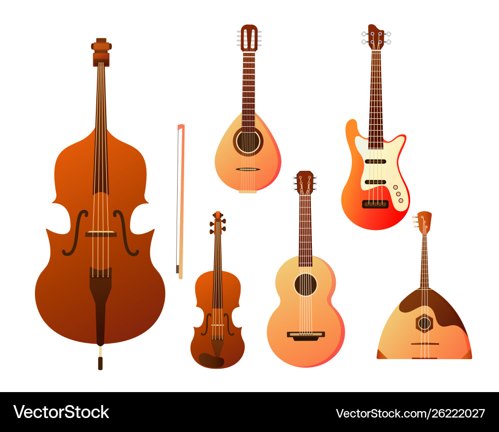 Set stringed musical instruments collection vector image