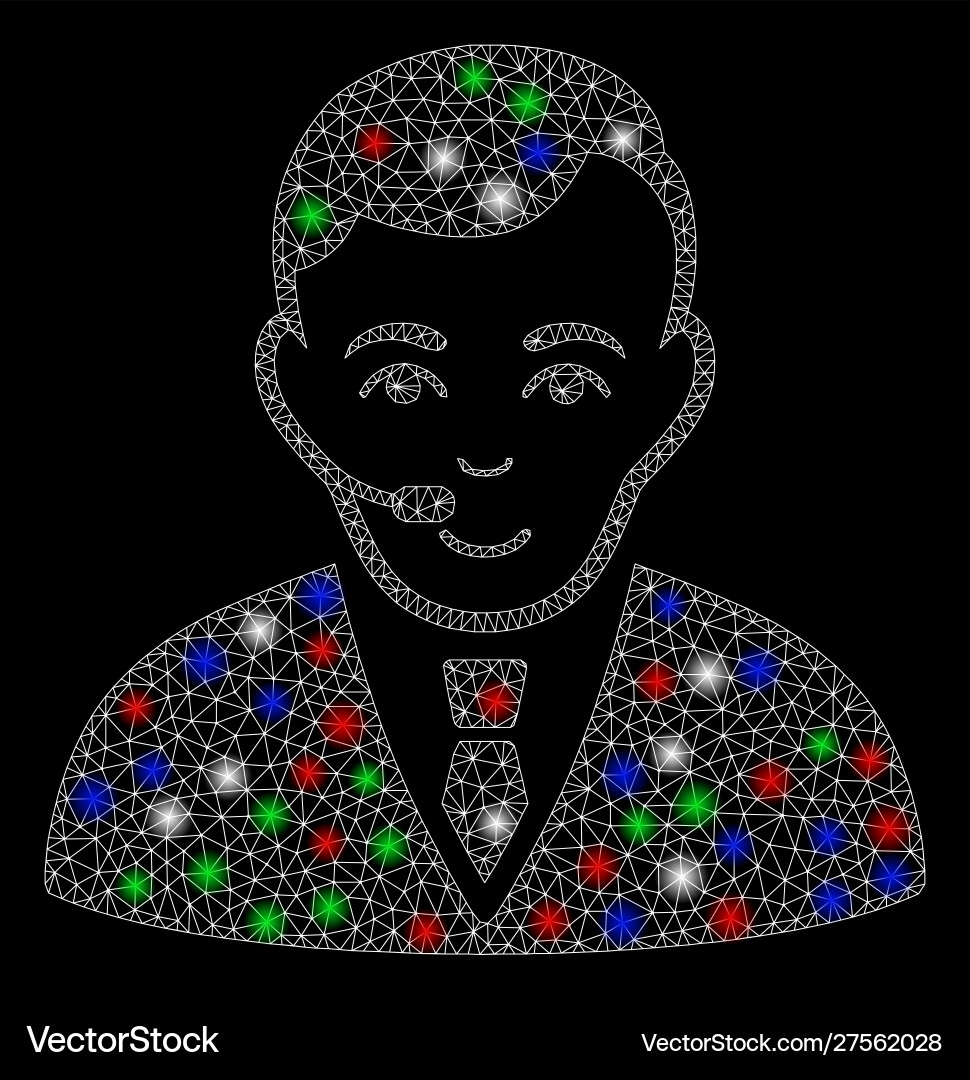 Bright mesh network operator with light spots Bright mesh network operator with light spots vector image