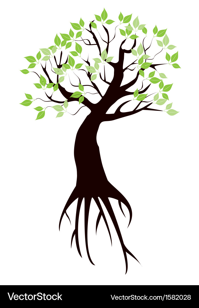 Tree vector image