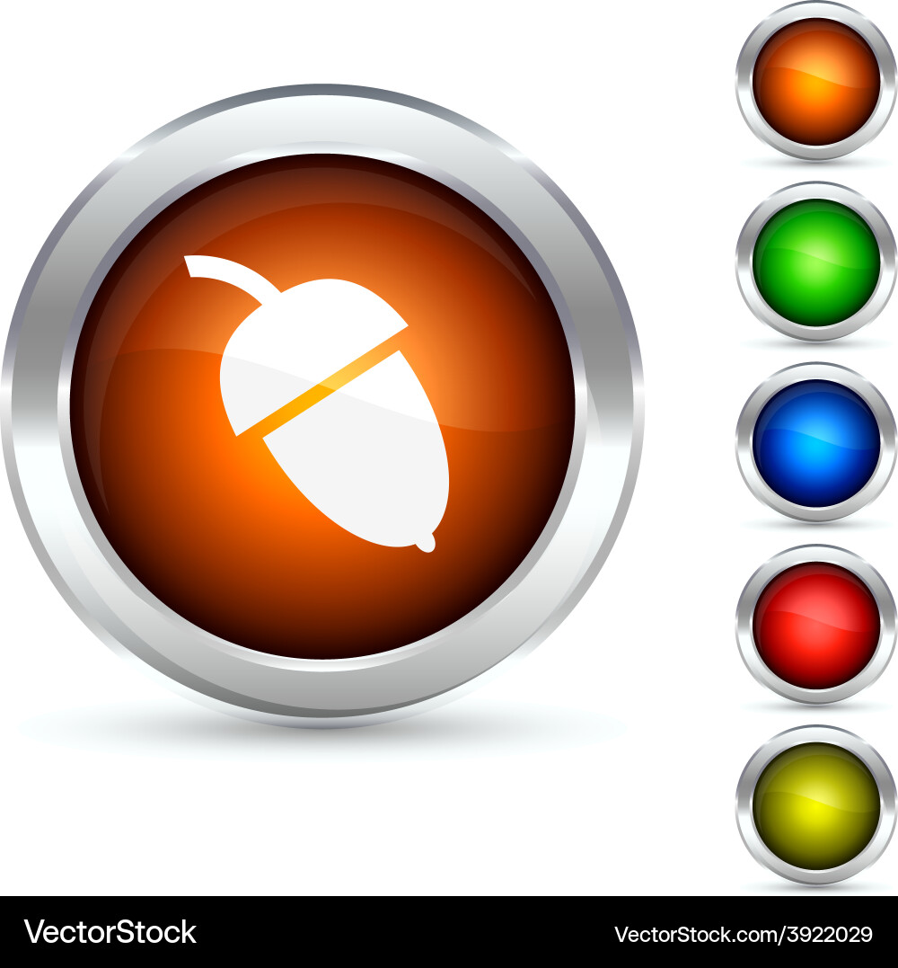 Acorn button Vector Image
