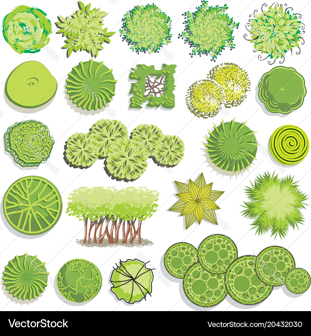 Diverse Plant and Tree Collection Vector Image