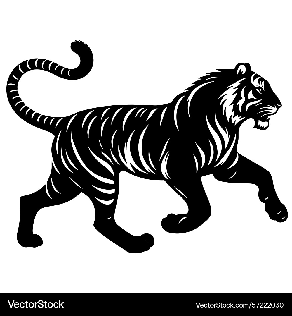 Dynamic running tiger silhouette in profile view Vector Image