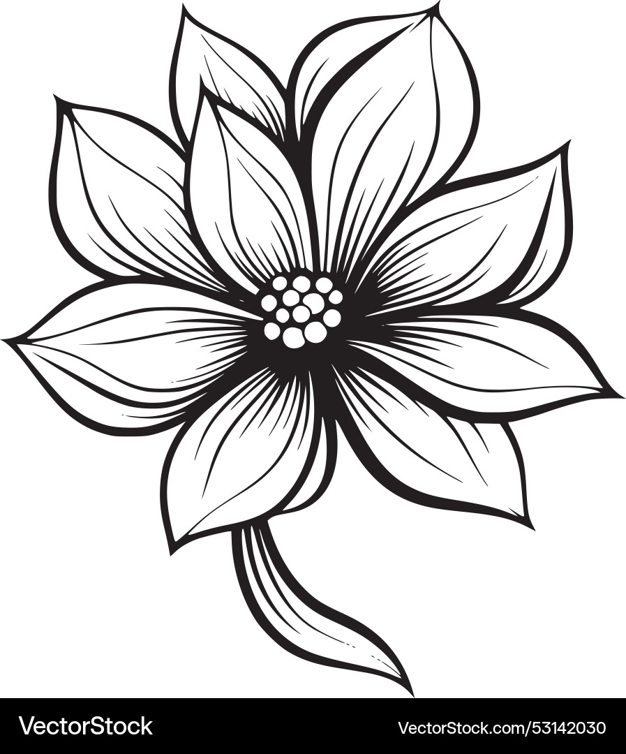 Flower Royalty Free Vector Image - VectorStock