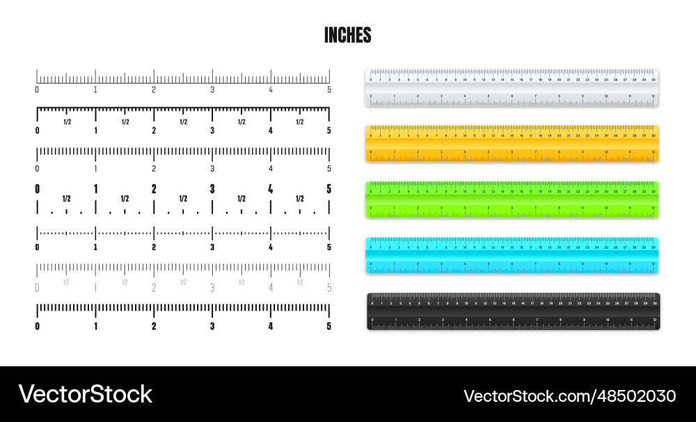 Realistic plastic rulers with black inch scale Realistic plastic rulers with black inch scale vector image