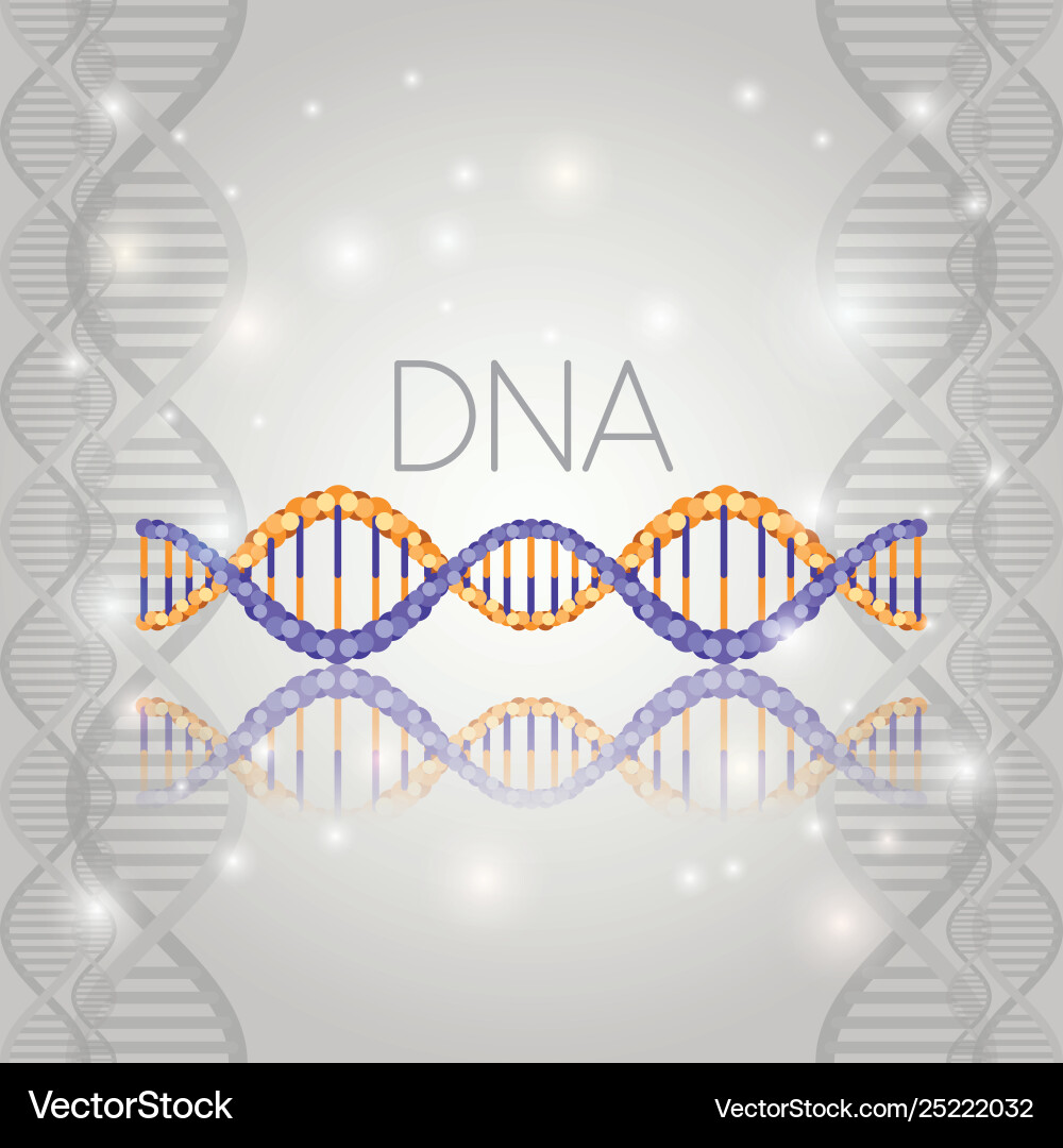 Dna molecule on line structure pattern Dna molecule on line structure pattern Vector Image