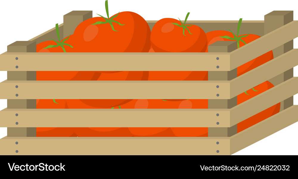 Fresh eco red tomato in wooden box for retail Fresh eco red tomato in wooden box for retail vector image