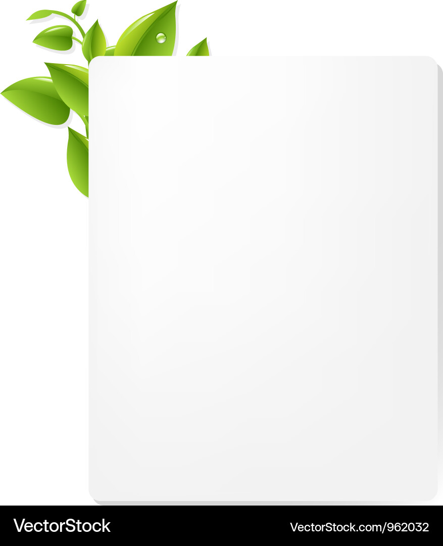 Leaf Document with Border vector image