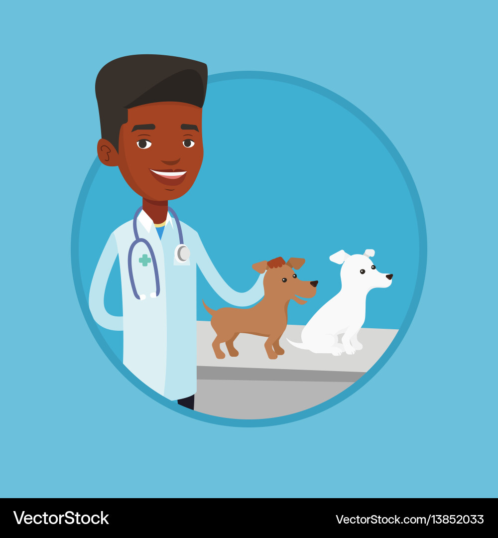 Tierische Untersuchung Hunde Tierische Untersuchung Hunde vektorbild