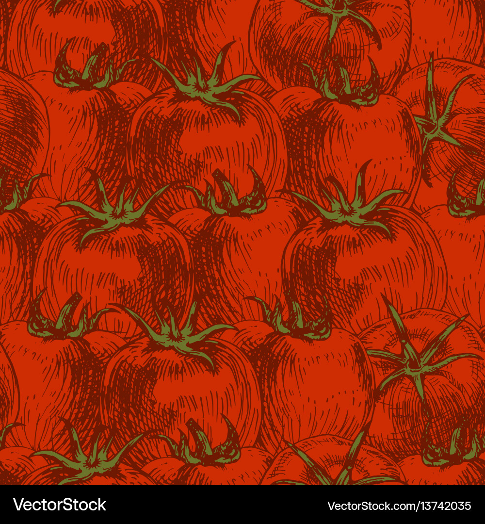 Tomato Pattern - Retro Background vector image