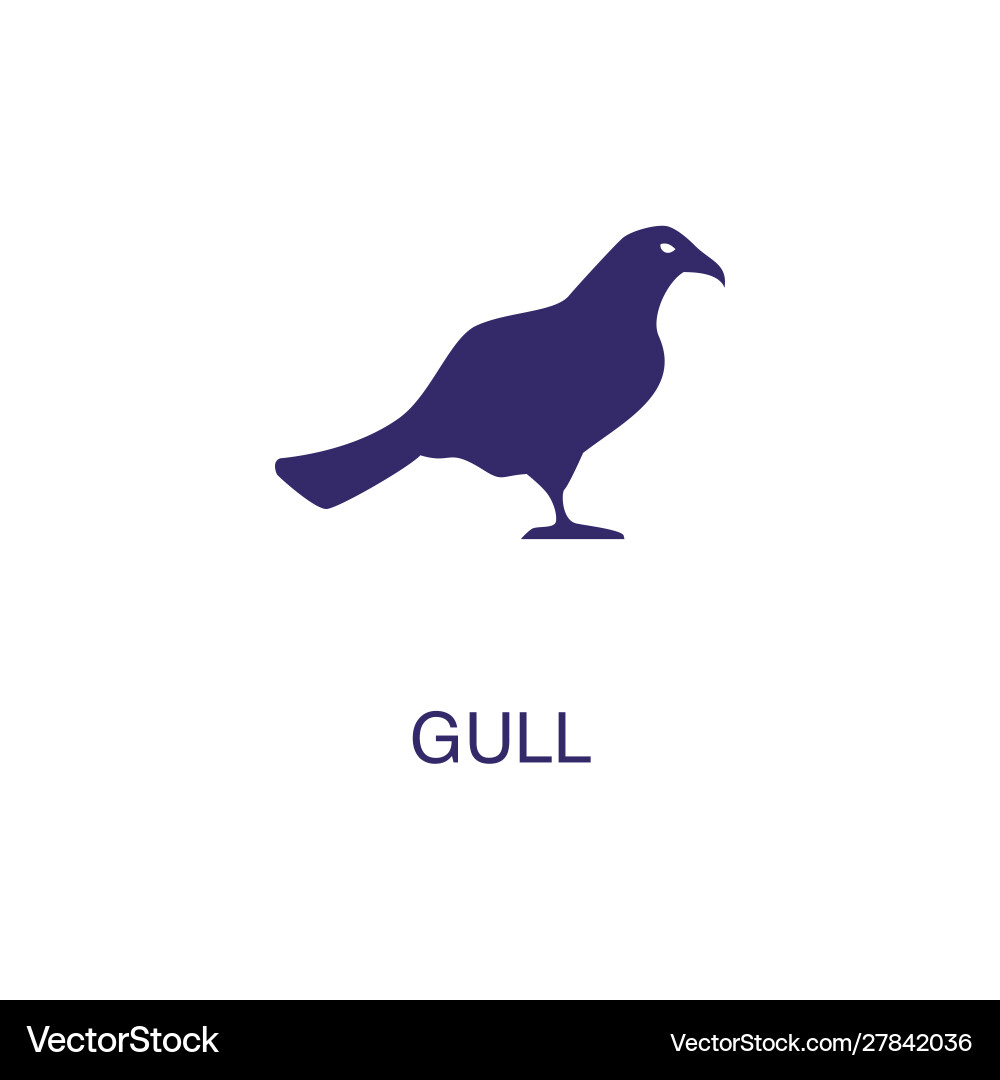 Gull element in flat simple style on white vector image
