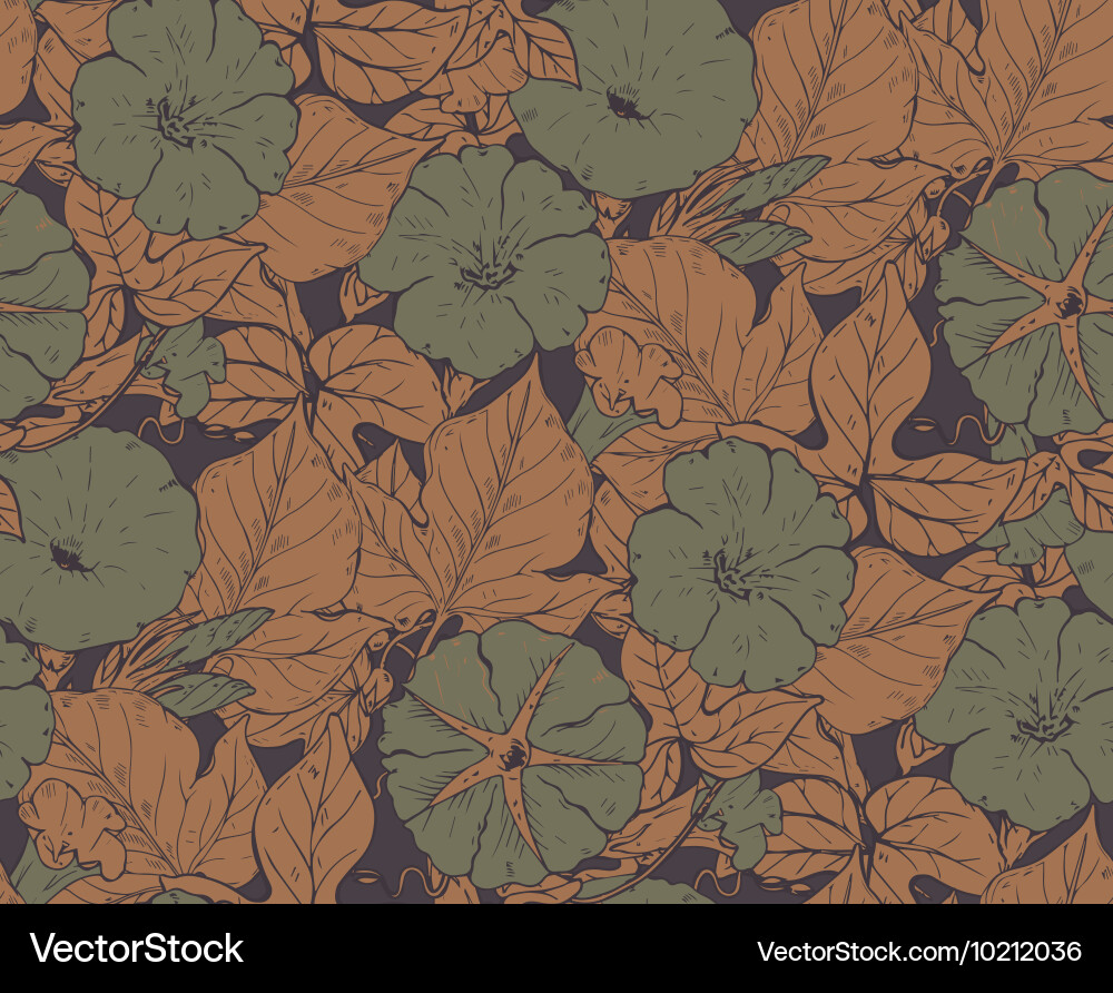 Seamless pattern with hand drawn bindweed Vector Image