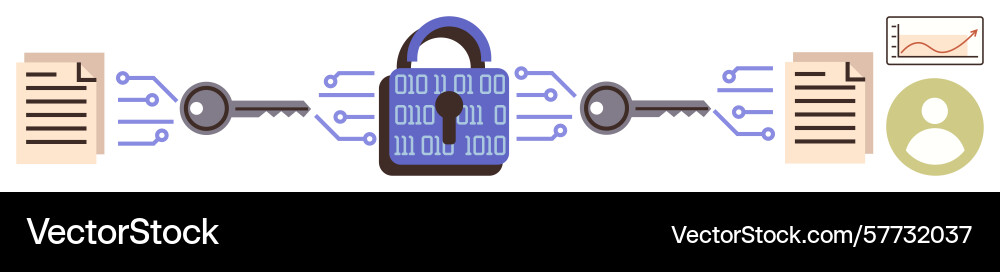 Data encryption process with digital lock for vector image