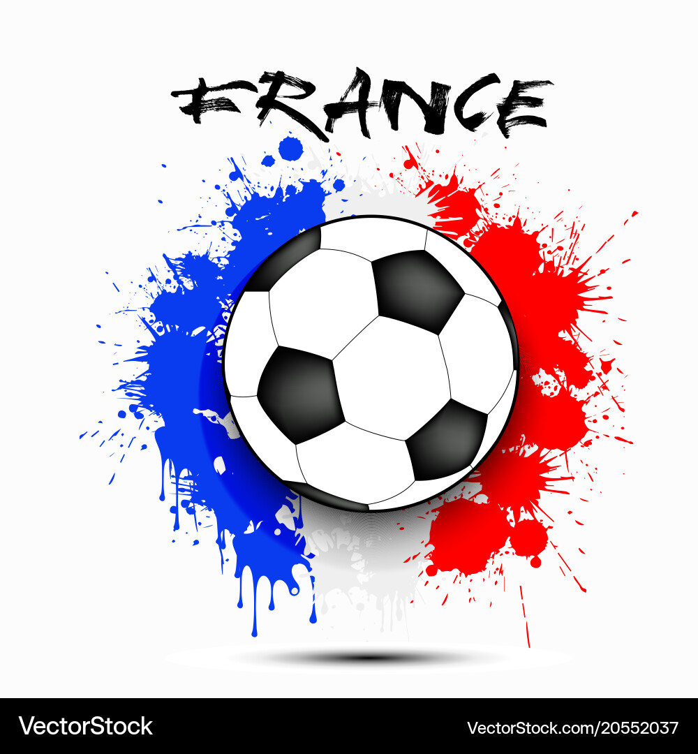 Soccer Ball with French Flag Vector Image
