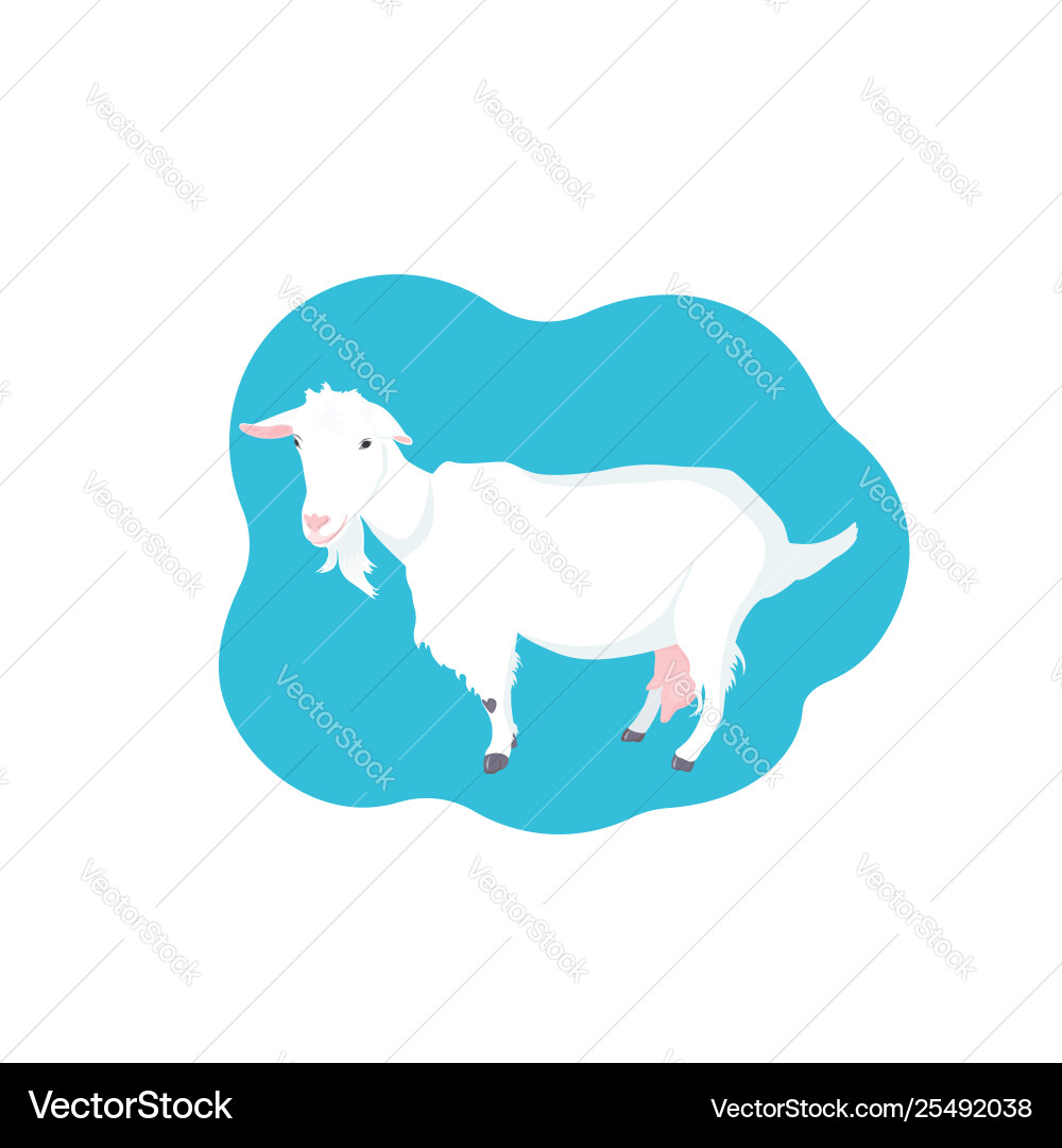 Cute hornlose Ziegenfarm Milchvieh Cute hornlose Ziegenfarm Milchvieh vektorbild
