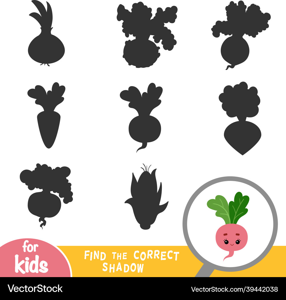 Find the Shadow: Radish Game Vector Image