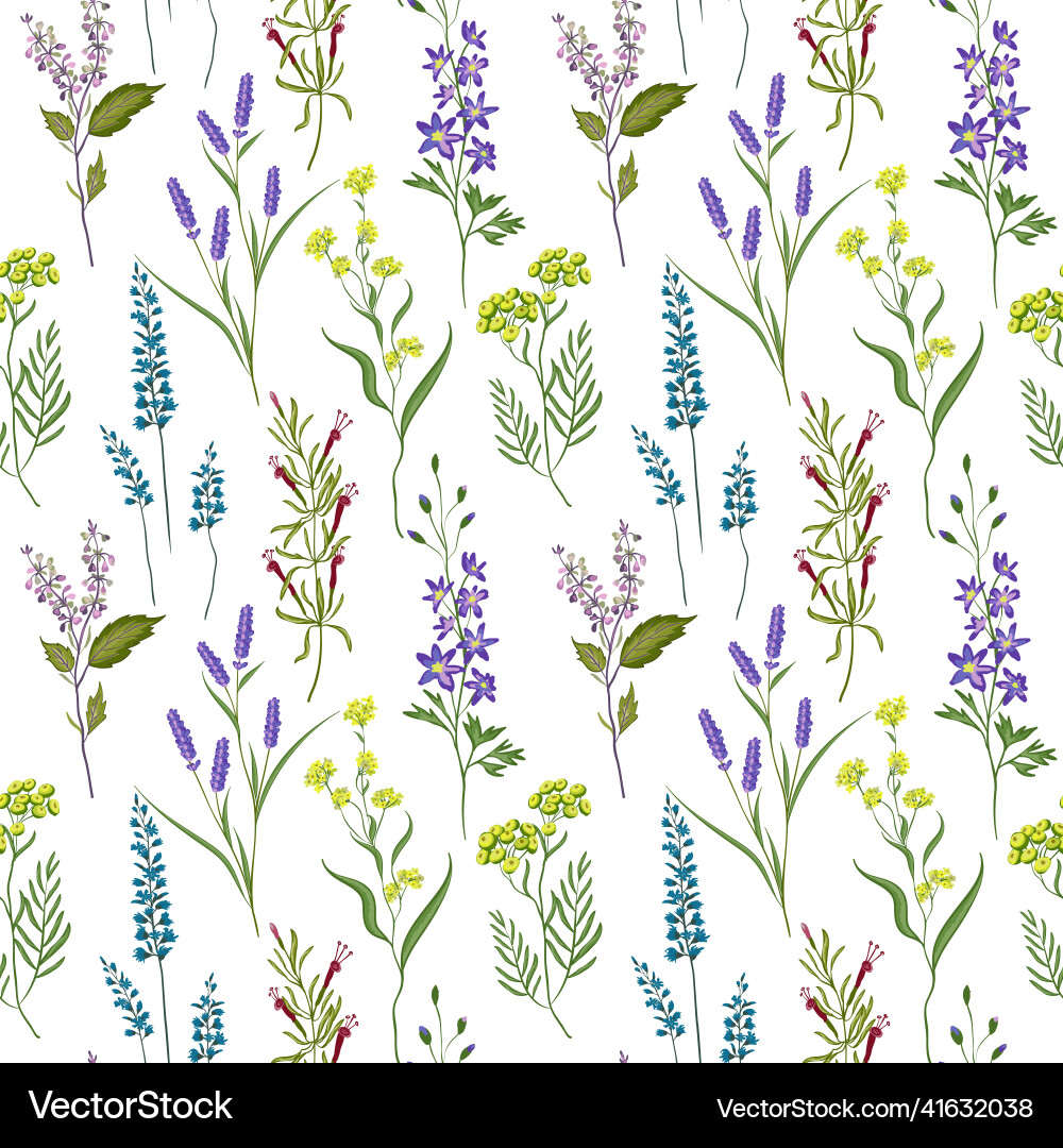 Wildflower Herb Pattern Vector Image