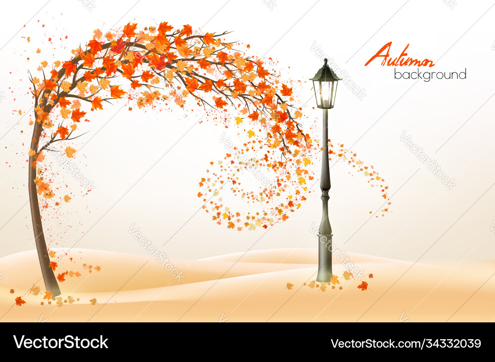 Autumn background with a tree and colorful vector image
