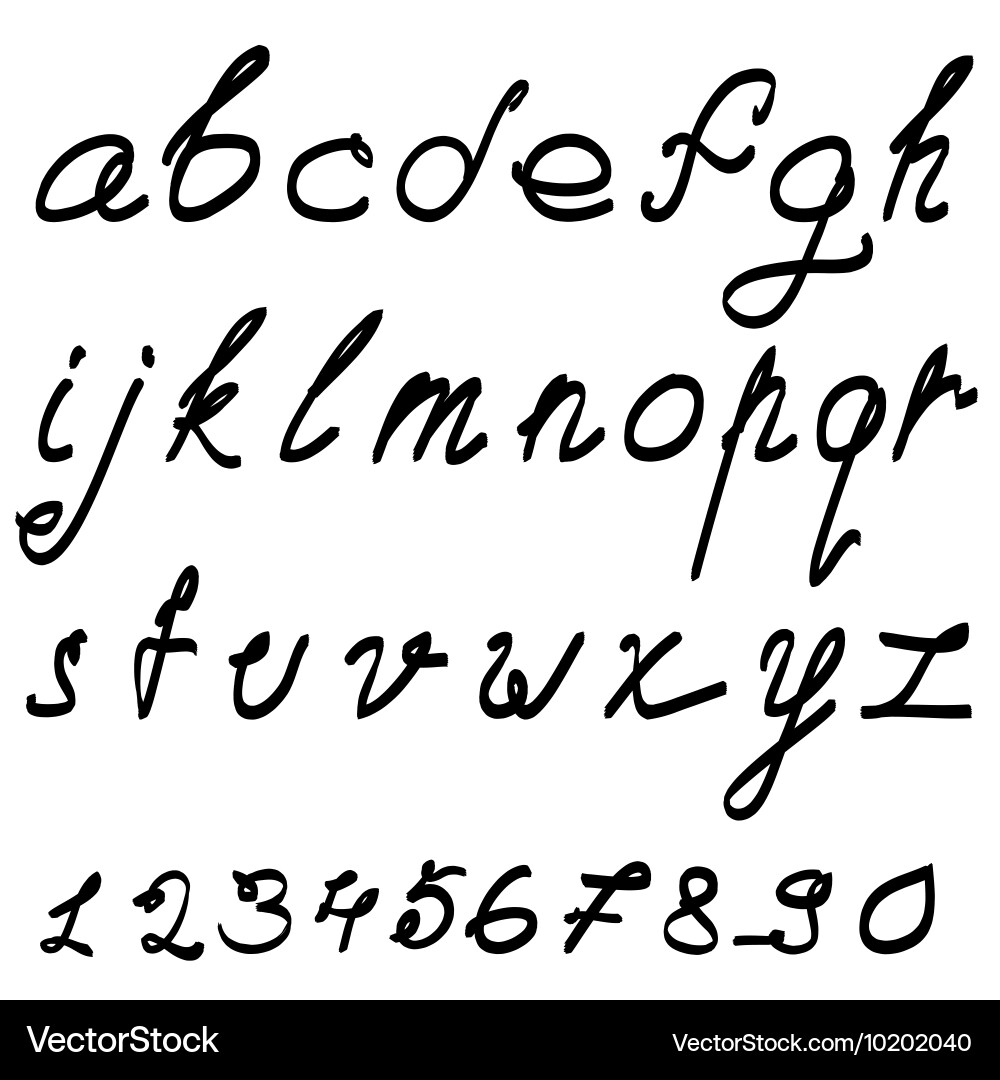 Calligraphic font with numerals vector image