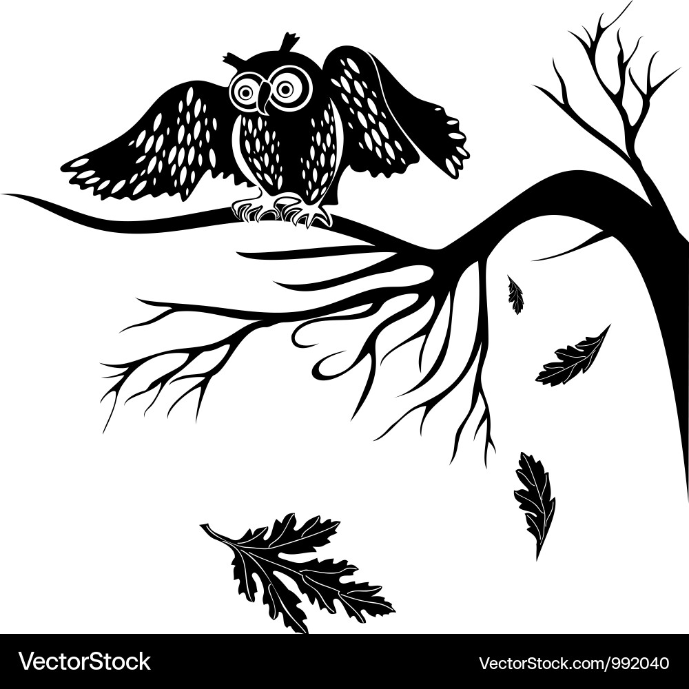Silhouette Owl on Branch vector image