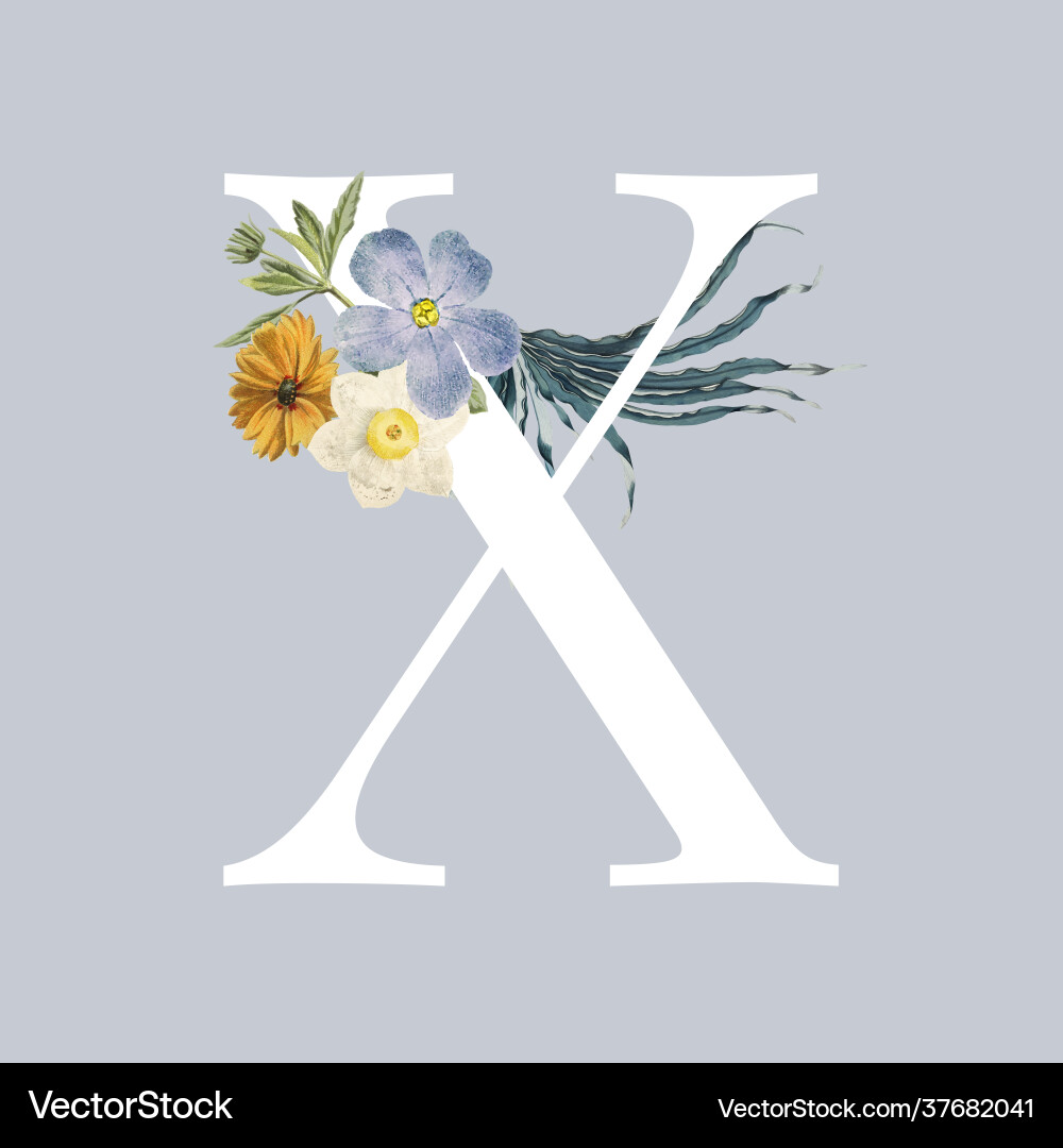 Letter x with blossoms Letter x with blossoms vector image