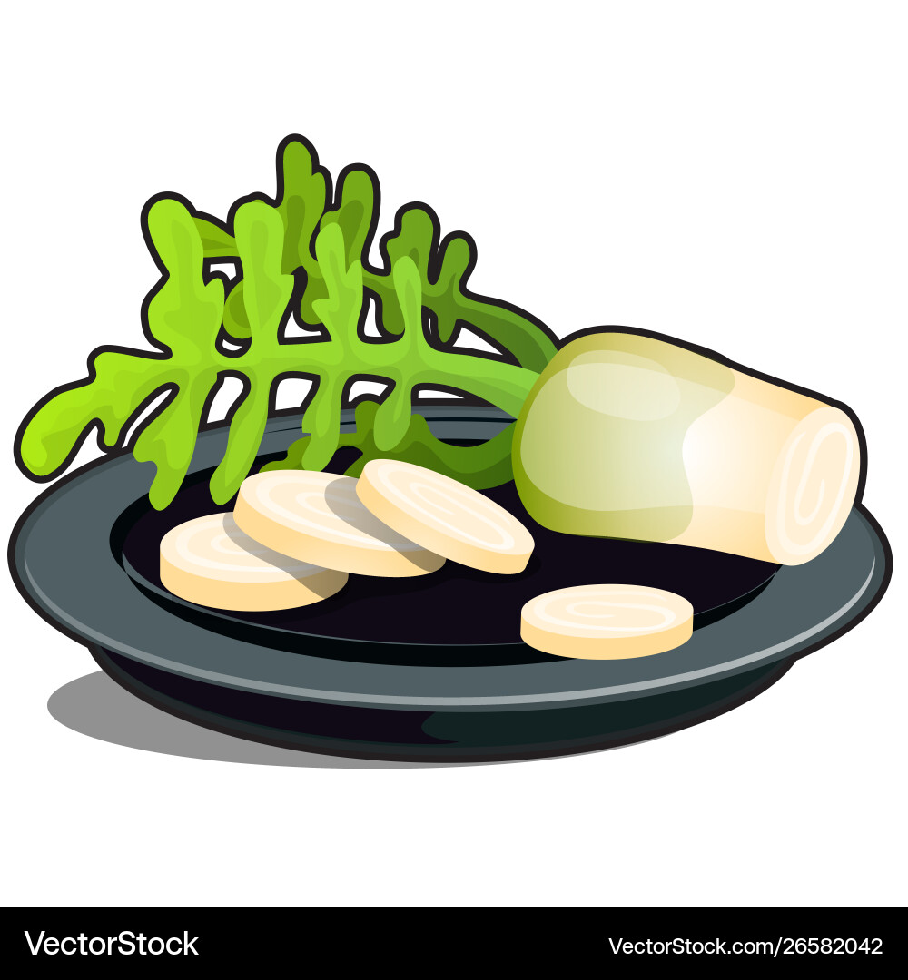 Sliced on a plate parsnip root isolated Vector Image