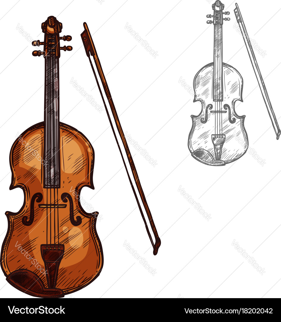 String Instrument Sketch vector image