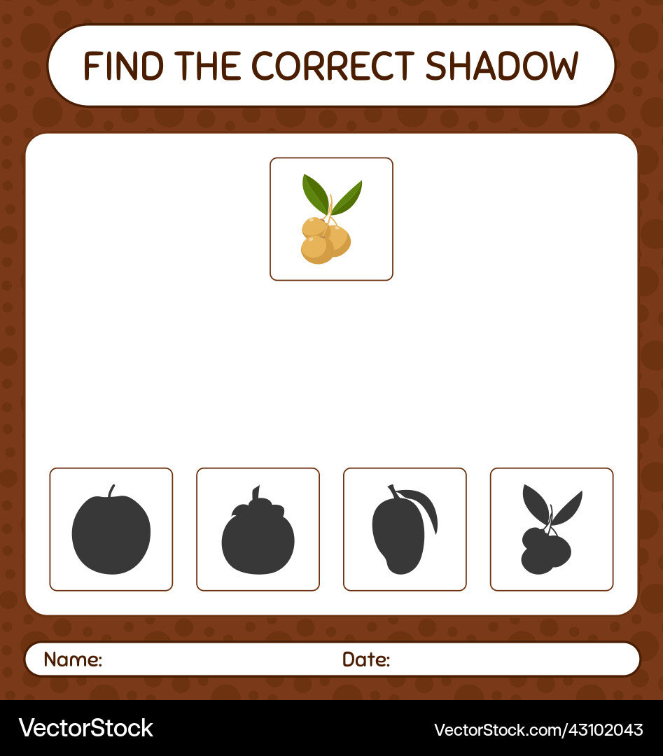 Find the correct shadows game with longan Find the correct shadows game with longan vector image