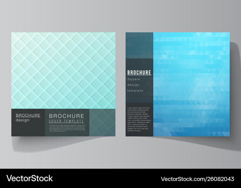 Minimal editable layout Vector Image