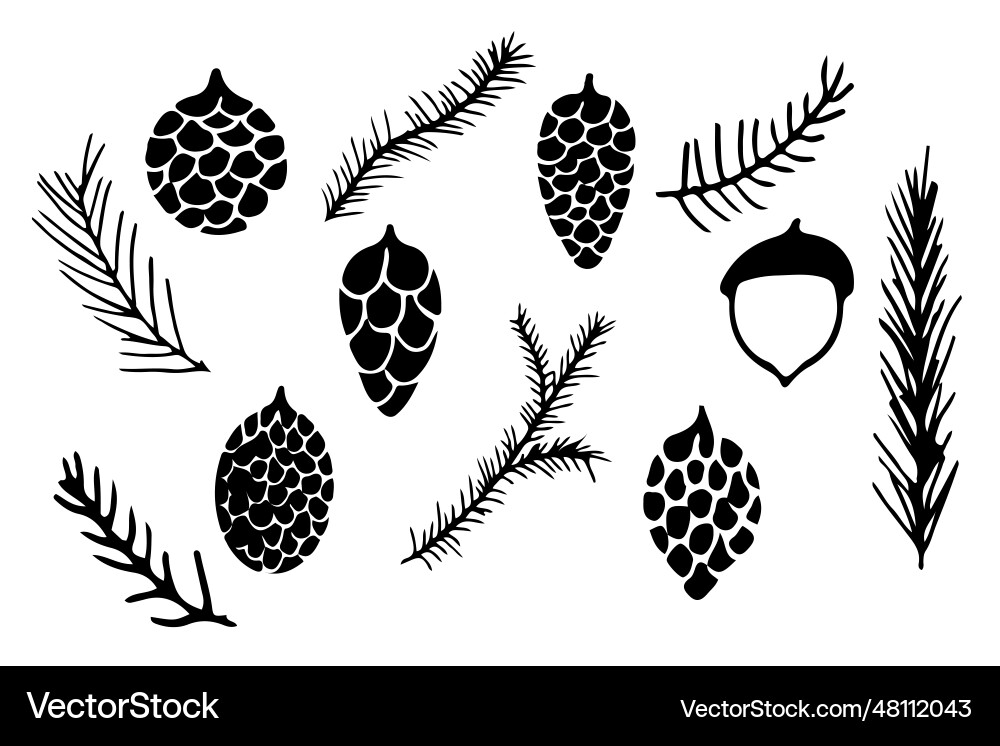 Pine cone and tree branch set in doodle style Pine cone and tree branch set in doodle style Vector Image