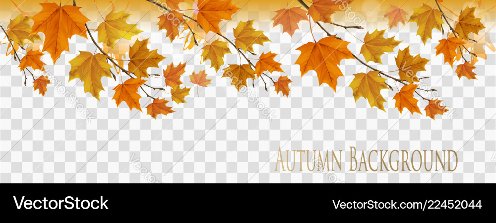 Autumn Leaf Background Royalty Free Vector Image