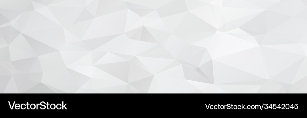 Abstract white background with circles and lines vector image