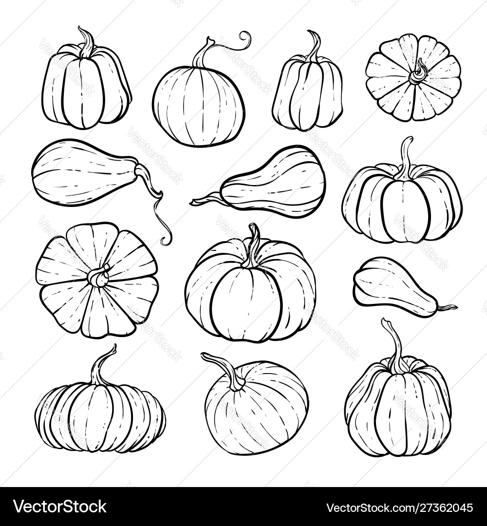 Black & White Pumpkin Set vector image