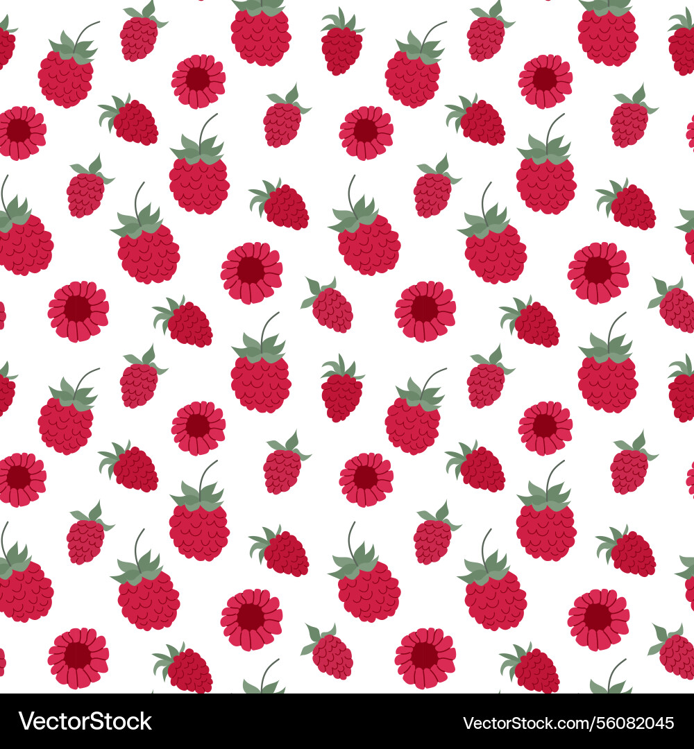 Bright raspberry and flower pattern on a white Vector Image