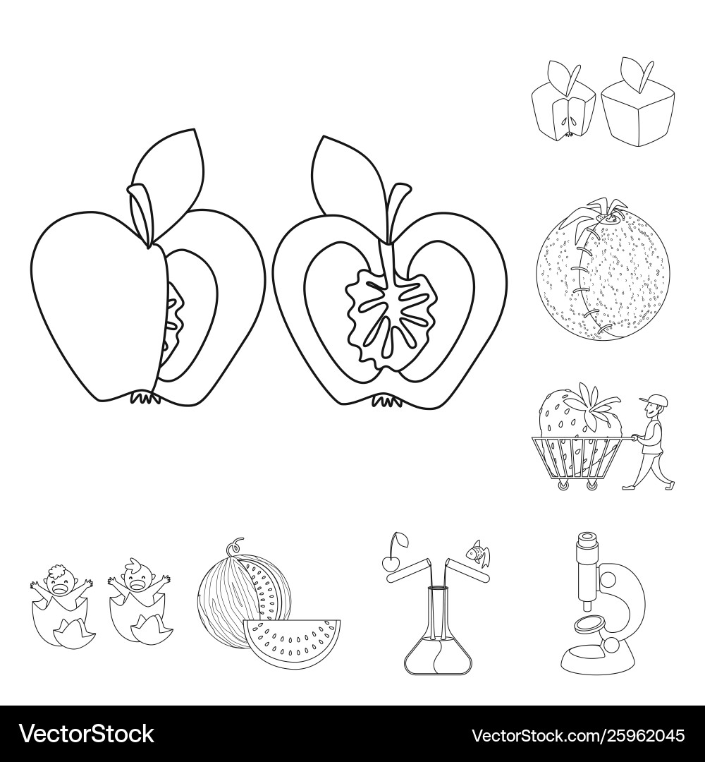 Isolated object genetic and science icon set Isolated object genetic and science icon set vector image
