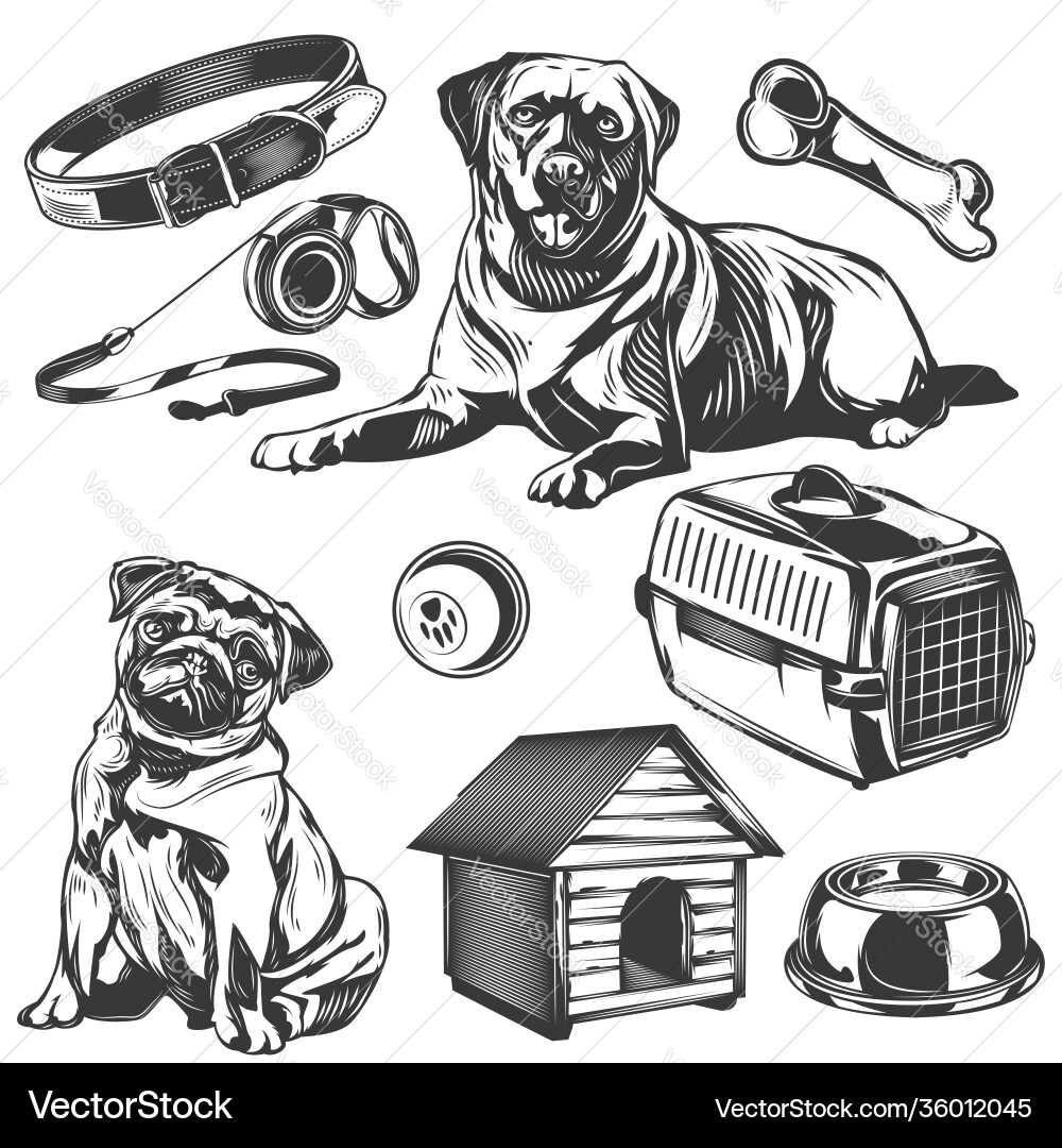 Set dogs and its apps elements for creating Set dogs and its apps elements for creating vector image