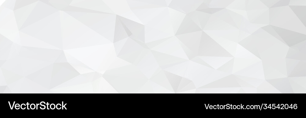 Abstract white background with circles and lines vector image