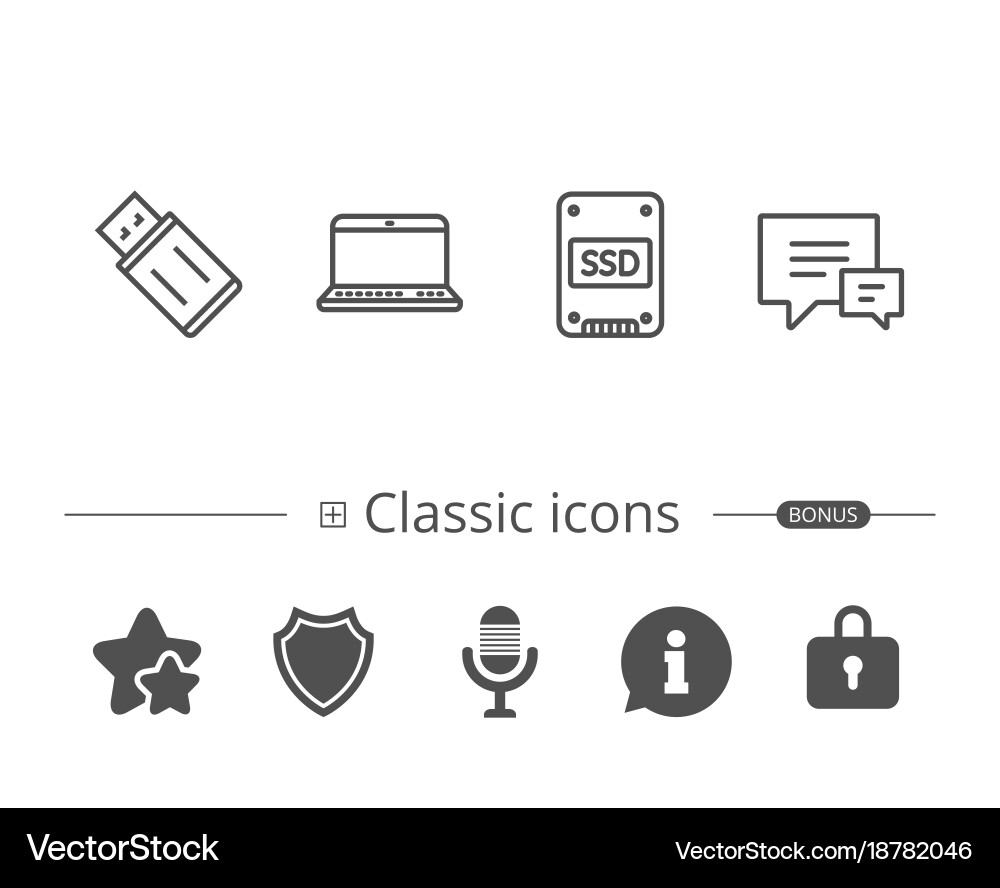 Ssd disk usb flash drive and notebook icons Vector Image