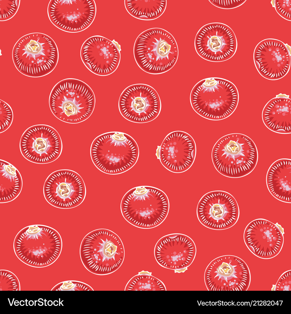 Seamless pattern with cranberry Seamless pattern with cranberry vector image