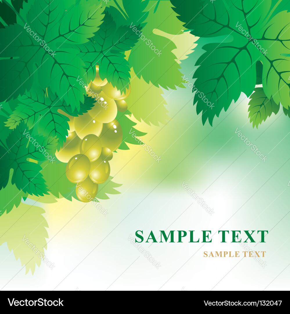 Soft background with grape vector image